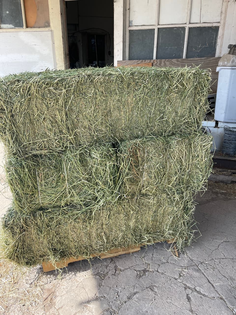 Square hay bales stacked outside the store at Mustang Creek Feed Seed & Supply, ready for pickup