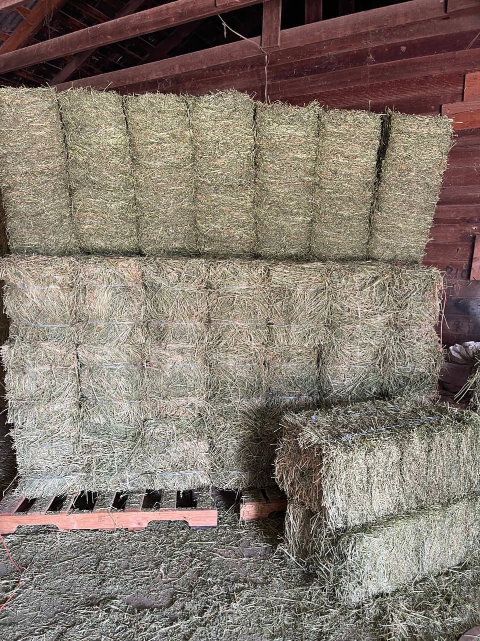 Large square hay bales stacked to the rafters in the hay barn at Mustang Creek Feed Seed & Supply in Rio Vista, Texas